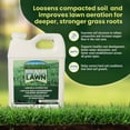 thumbnail image 2 of Bettr Lawn Liquid Aeration Soil Loosener with Humic & Fulvic Acid, 32 oz, 2 of 7