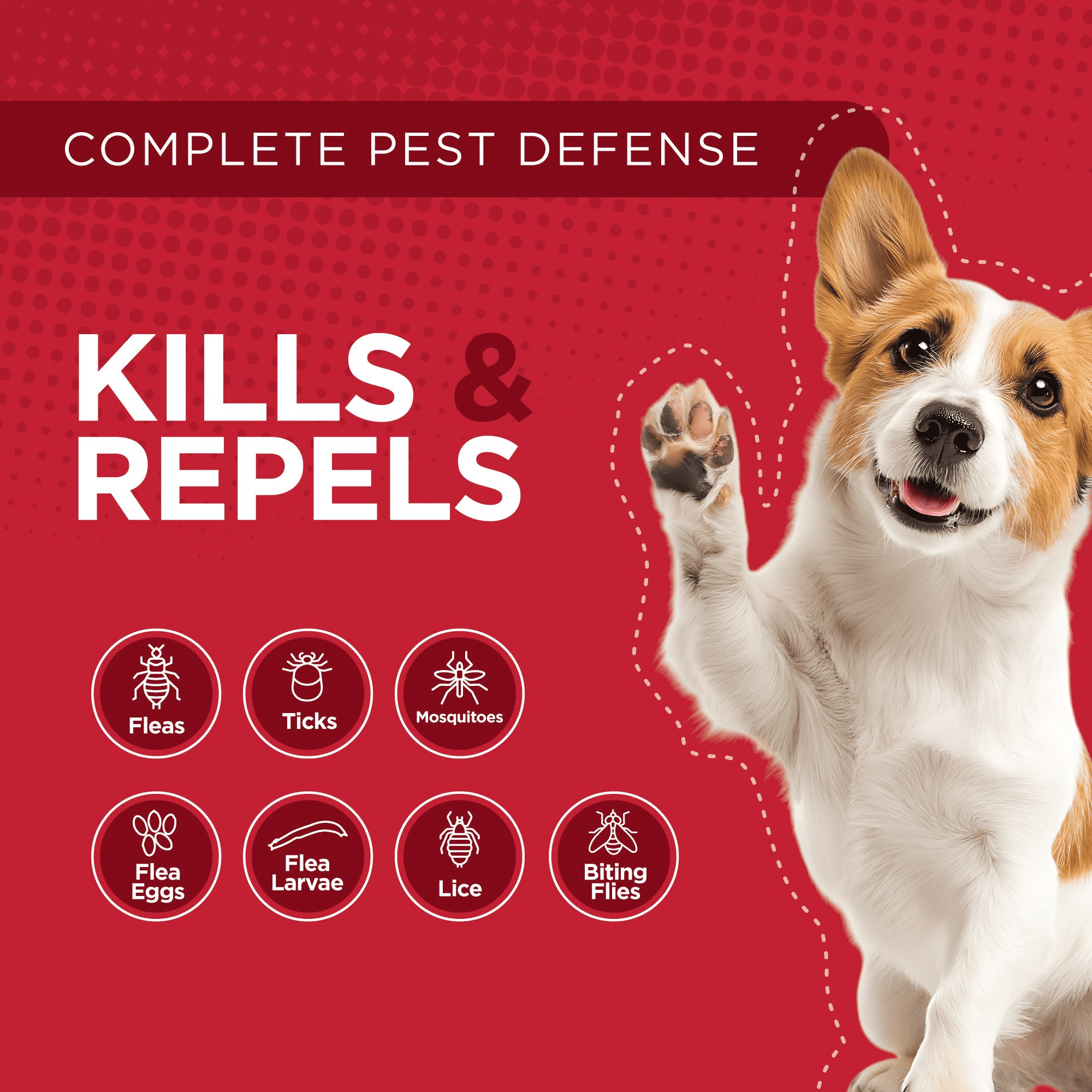 Activate II Flea and Tick Prevention for Dogs, 4 Count, Large Dogs 21-55 lbs, Topical Drops, 4 Months Flea Treatment