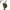 Army Green, variant on CYiJun George Men's Summer Cargo Shorts,Casual Drawstring Beach Shorts Lightweight Hiking Travel Stretch Shorts with Multi Pockets