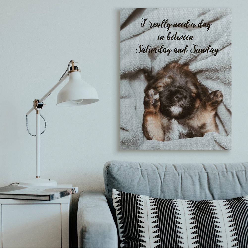 Stupell Industries Three Day Weekend Phrase Funny Puppy Pet Humor Canvas Wall Art Design by Ziwei Li, 36" x 48"