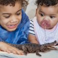 thumbnail image 2 of Educational Animal Toy Crocodile Model Lifelike Animal Figurine for Kids' Educational Playtime Brain Development Durable Detailed for Children, 2 of 8