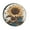 style, variant on Camping Spare Tire Cover 12inch Under The Sea Seahorse Waterproof Polyester Wheel Protectors Wheel Covers Ocean Coral for Camper Truck Travel Trailer