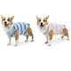 thumbnail image 3 of Ropa Linda Para Perros De Compañía, Ropa De Destete, Traje, Estampado De Rayas De Colores, Ropa Para Mascotas, Mono Serendint PT002586-04, 3 of 6