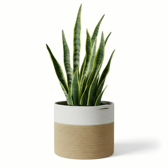 Bohorizon Plant Basket, Wicker Planter Basket,Seagrass Flower Pot, Pack of 1, 9.8x9.8 inch, Beige