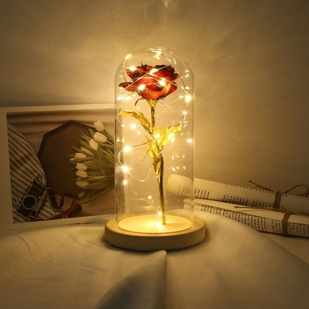 Crystal Galaxy rose in the glassdome 20 led lights gift for mom wife girlfriend' 