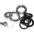 thumbnail image 2 of QuadBoss 00-06 Honda TRX350FM/FE FourTrax Rancher 4x4/ES Rear Differential Bearing & Seal Kit, 2 of 2