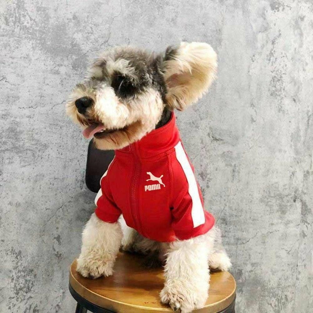 Puma 2025 dog clothes