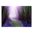 thumbnail image 2 of Tiptophomedecor Peel and Stick Forest Wallpaper Wall Mural - Purple Path - Removable Wall Decals, 2 of 3