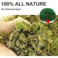 thumbnail image 2 of Musgo de bosque seco de 3 cuartos de galón: ideal para plantas de orquídeas en macetas, musgo de terrario, musgo de reptiles: totalmente natural, fresco con olor a bosque., 2 of 5