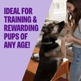 thumbnail image 2 of Wellness CORE Tiny Trainers Dog Treats, Natural, Grain Free, Lamb and Apple Recipe, 6 oz Bag, 2 of 7