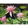 thumbnail image 2 of Odum, Jan 14x12 White Modern Wood Framed Museum Art Print Titled - Water Lillies, 2 of 4