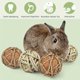thumbnail image 1 of 4pcs Small Animals Play Balls, Chew Grass Balls Rolling Chew Toys For Bunny, Rabbit, Guinea Pigs, Hamsters, Gerbils, Pet Cage Entertainment Accessories (2.75 Inch), 1 of 4
