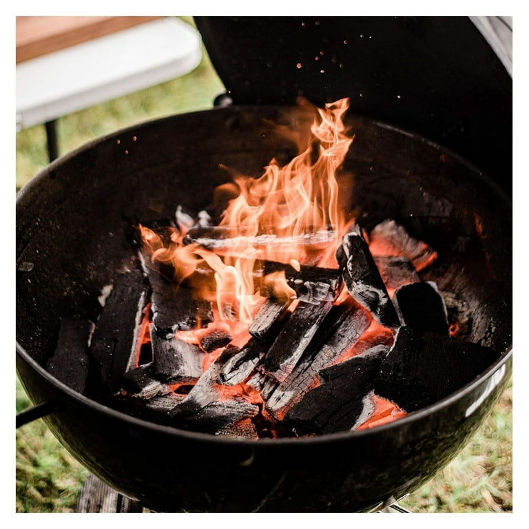 Charcoal Bbq Bbq On Fire Charcoal Briquettes How To Start A Bbq