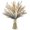 Light Brown, variant on 120 count Dried Pampas Grass, Dried , Reed Grass Bouquet for Bohemian   Table Wedding Decoration, Rustic Farmhour.(Light Brown)