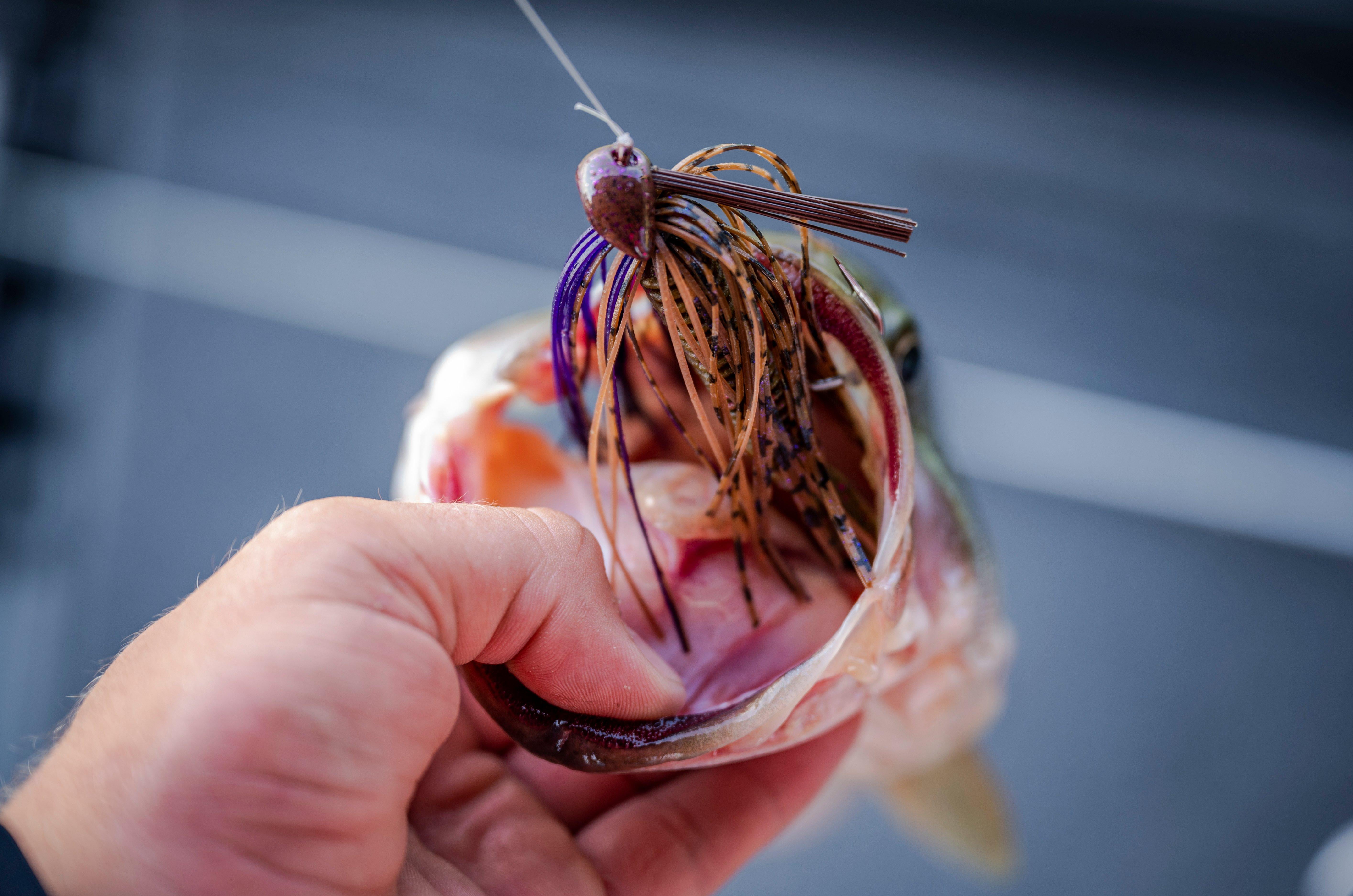 Berkley Football Jig