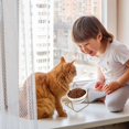 thumbnail image 2 of Cuencos para gatos, cuencos de cerámica para mascotas con soporte elevado inclinado de 15 para comida y agua, comedero para platos para gatos antivómitos, perfecto para cachorros y perros pe, 2 of 5