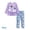 Wisteria Blue, variant on Disney Frozen Girls Sweatshirts Elsa Character Graphic Hoodie and Pants Blue Velvet 2 Pieces Sets Sizes 2-6