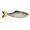 Gizzard Gold, variant on 6th Sense Panorama 9.0 Soft Swimbait Bass Fishing Lure Oversized Trophy Forage Bait for Big Predators