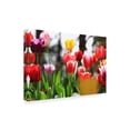 thumbnail image 2 of Trademark Fine Art 'Spring Tulips' Canvas Art by Beata Czyzowska Young, 2 of 3