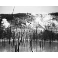 thumbnail image 2 of Adams, Ansel 31x26 White Modern Wood Framed Museum Art Print Titled - Barren trunks in water near steam rising from mountains, Roaring Mountain, Yellowstone National Park, 2 of 4
