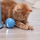 thumbnail image 5 of Juguete Interactivo Inteligente Para Gatos Bola Autogiratoria Led Colorida Con Campana De Hierba Gatera Y Juguetes De Plumas Eigraketly PT001552-04, 5 of 6