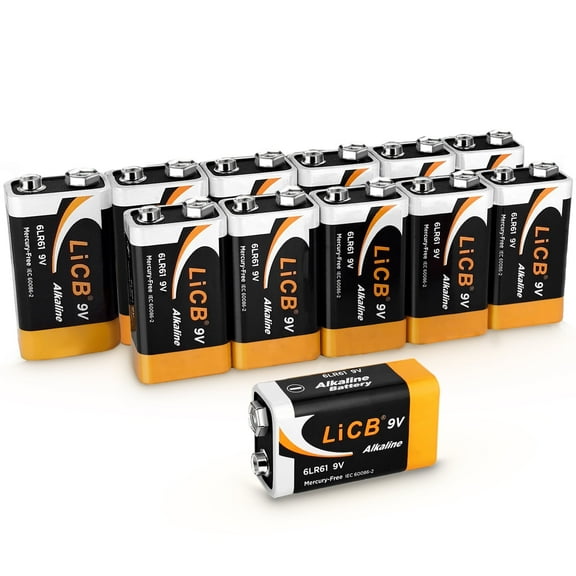 LiCB Alkaline 9V Batteries 12-Pack, Long-Lasting 9 Volt Alkaline Batteries Perfect for Smoke Detectors