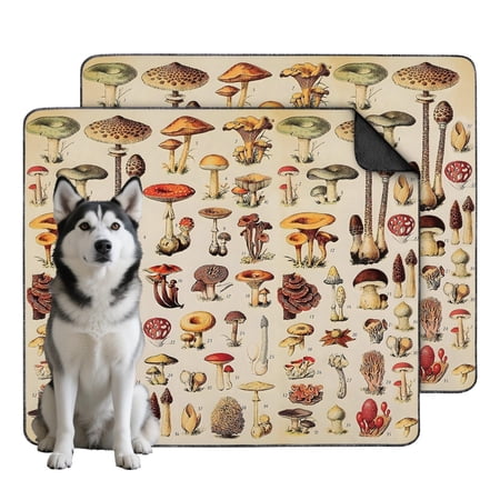 Decorative and Practical Dog Pee Pads Reusable Mat System for Simple Cleanup and Maintenance (Plant patterns 35 x41 )