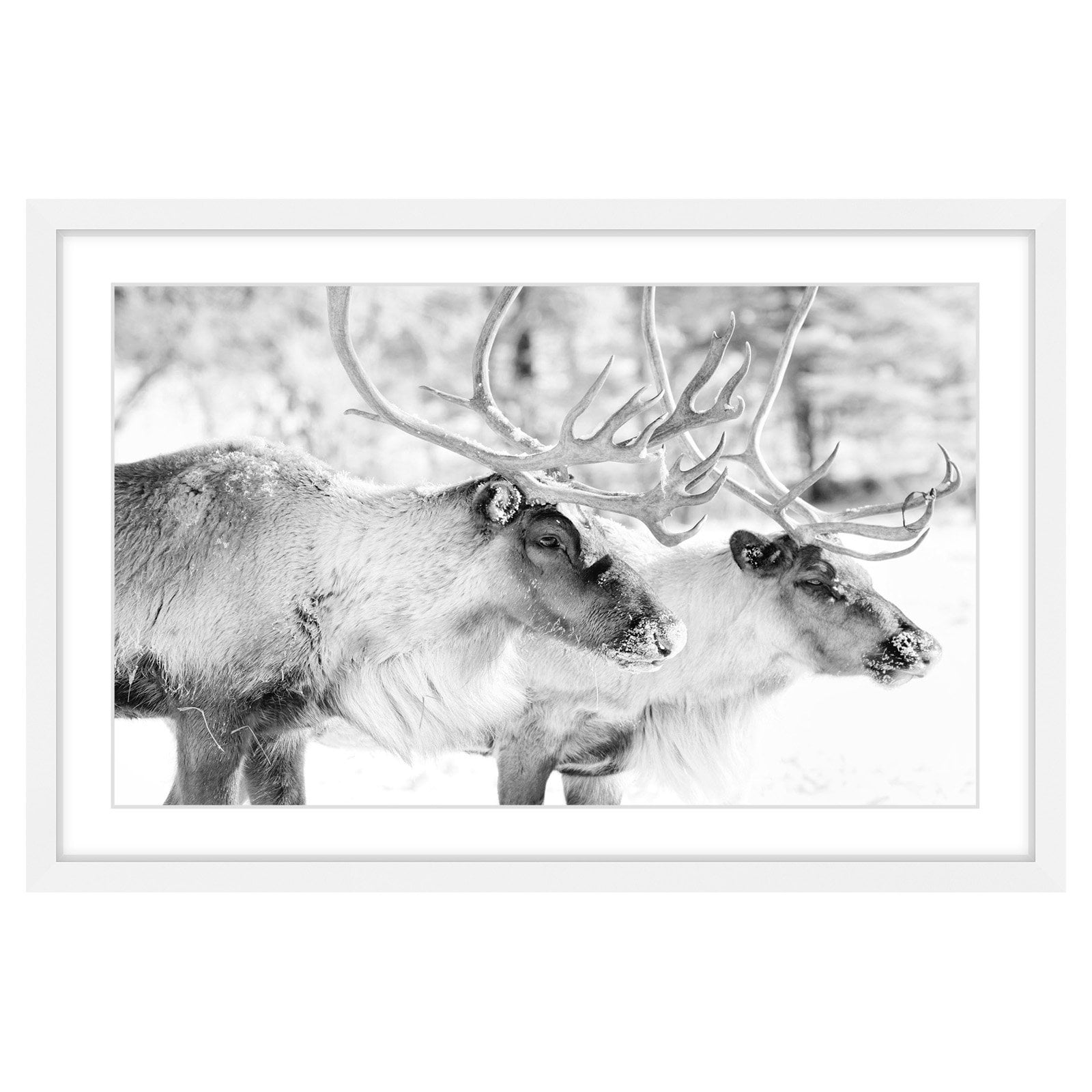 Marmont Hill "Elk Pair" Framed Painting Print
