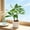 Green-8A, variant on MMJ Sweeping Robot Vacuum Cleaner Rechargeable Automatic for Hard Floor Pet Hair and Dust