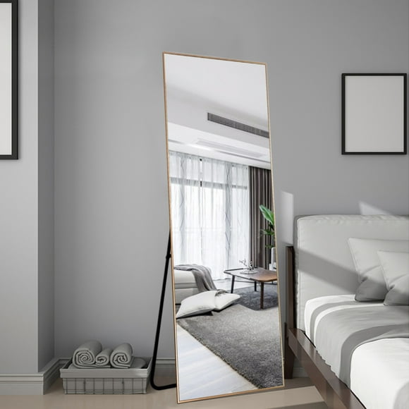 NeuType Full Length Floor Mirror Rectangular Gold 65"x22"