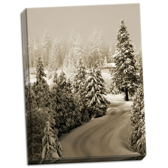 Gango Home Decor Mt. Ashland Rd II by Vitaly Geyman (Ready to Hang); One 18x24in Hand-Stretched Canvas