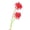 Red, variant on Hyasfey 2Pcs Artificial Red Spider Lily Realistic Fake Silk Flower Wedding Home Office Table Centerpiece Faux Floral Branch Flower Arrangement Decoration