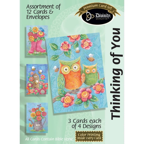 Boxed Greeting Cards - Thinking Of You Owls - Set of 12 - KJV