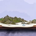 thumbnail image 5 of Micro decoración de piscina simulada, musgo, maceta de flores suculentas, accesorios, decoración de mesa, decoración de pasteles, 10 Uds., 5 of 5