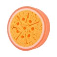 thumbnail image 1 of Koszal Fruit Shape Strong Water Absorbent Sponge Cleaning Pan Dish Cloth Washing Towel, 1 of 8