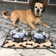 thumbnail image 5 of Tazón de Perro Loving Pets Espresso 1.5 Litros Grande, 5 of 8