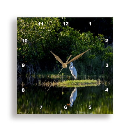 3dRose, A great egret in a marsh surrounded by mangrove trees., 15x15 Wall Clock