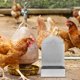 thumbnail image 3 of Comedero automático para pollos: Comedero metálico resistente para aves de corral - Dispensador de alimento vertical resistente a la intemperie - Accesorio para gallinero grande en granjas pequeñas., 3 of 7