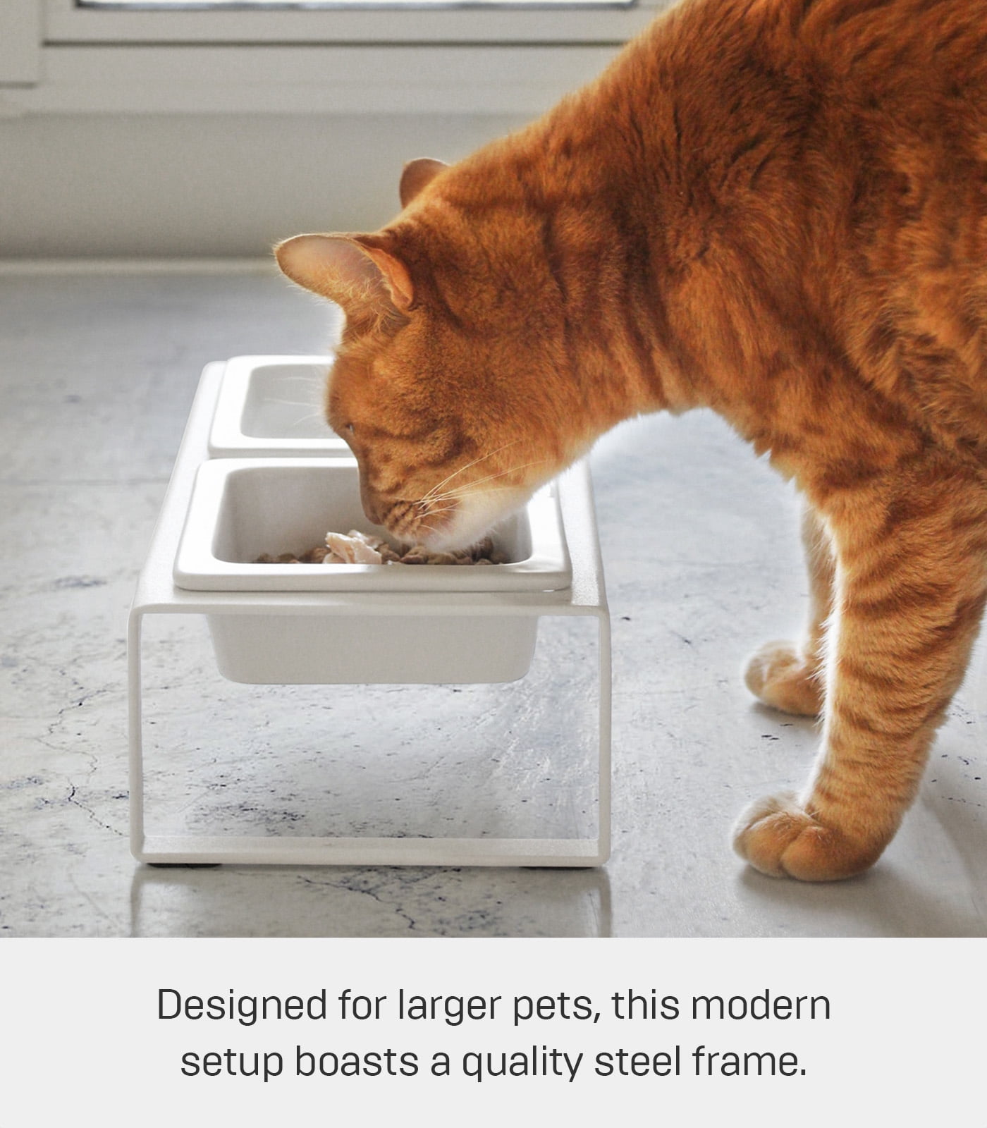 Yamazaki Home Pet Food Bowl - Two Styles, White, Steel + Ceramic, Tall, 1.25 cups, 300 milliliters per bowl, No Assembly