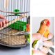 thumbnail image 5 of Jeringa de alimentación para loros, alimentador de loros de 10ml, suministros para pájaros y loros, alimentador para loros Sailing Electrónica, 5 of 5