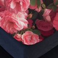 thumbnail image 4 of Flower Fitted Sheet Set with Pillowcase 3D Rose Printed Bedding Set Home Bedroom Decor,Queen (60"x80"), 4 of 5