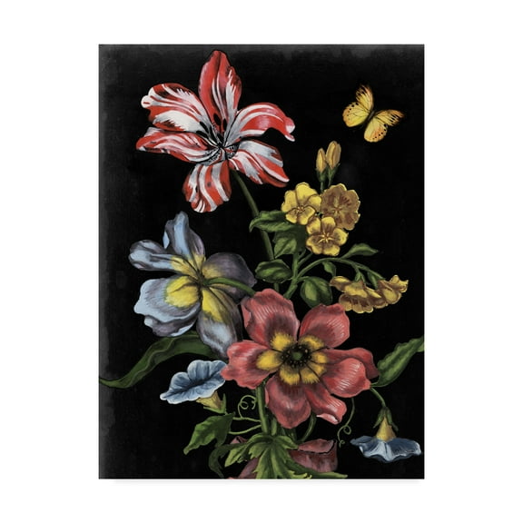 Trademark Fine Art 'Dark Floral I' Canvas Art by Naomi McCavitt