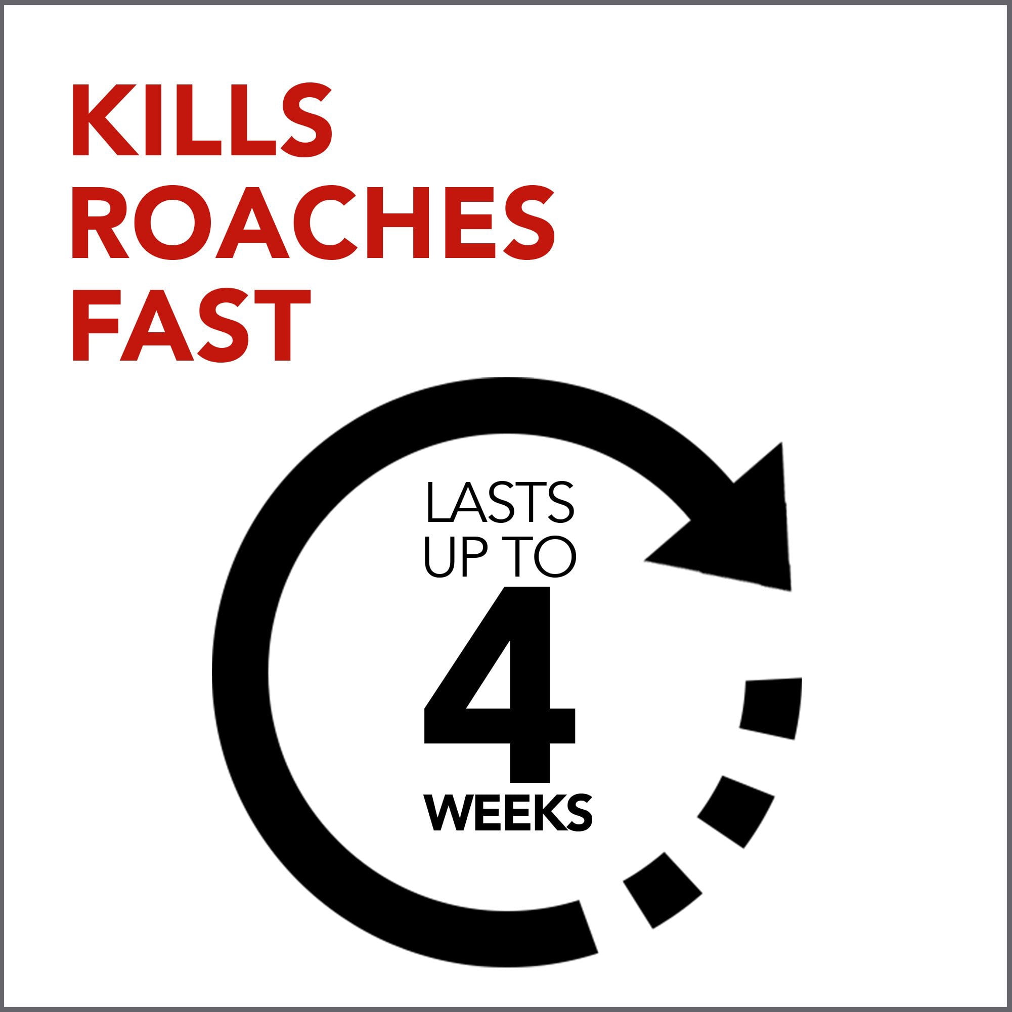 2PK Raid 17.5 OZ Aerosol Ant & Roach Killer Unscented