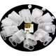 thumbnail image 1 of 20 piezas jaulas de abeja reina blanca, receptor de apicultura, Clip aislante de abeja de plástico, herramientas de cría de apicultor para interior, hogar y exterior, 1 of 4