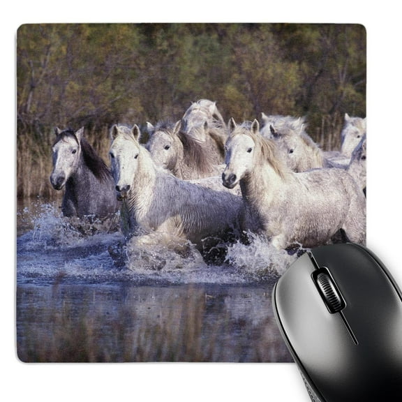 3dRose, France, Ile del la Camargue. Camargue Horses - EU09 GJE0035 - Gavriel Jecan, MousePad