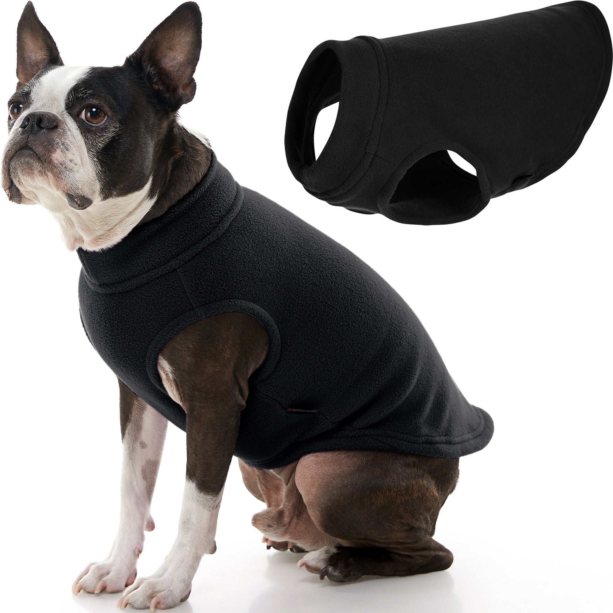 black jacket dog