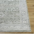 thumbnail image 2 of Boutique Rugs Alexia Traditional Area Rug - Light Gray, Medium Gray, Charcoal - 9'2" x 12', 2 of 6
