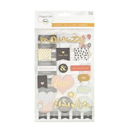 Becky Higgins Project Dividers American Craft Becky Higgins - Project Life - Everyday Edition Collection - Chipboard Stickers ()