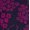 DAISY DOODLES VIOLET MAGENTA, variant on Terra & Sky Women's Plus Capri Legging, Sizes 0X-5X