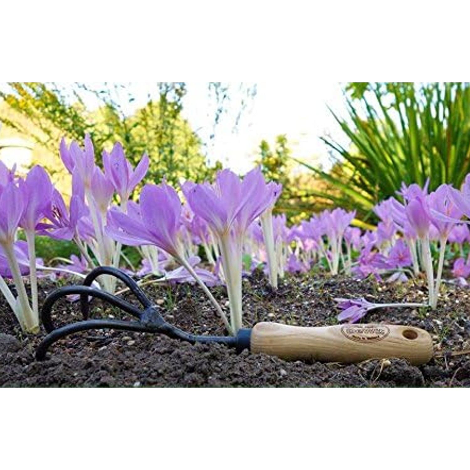 DeWit 3-Tine Cultivator, Aerates Soil with Boron Steel and Ash Wood Handle, 11.5 inches long
